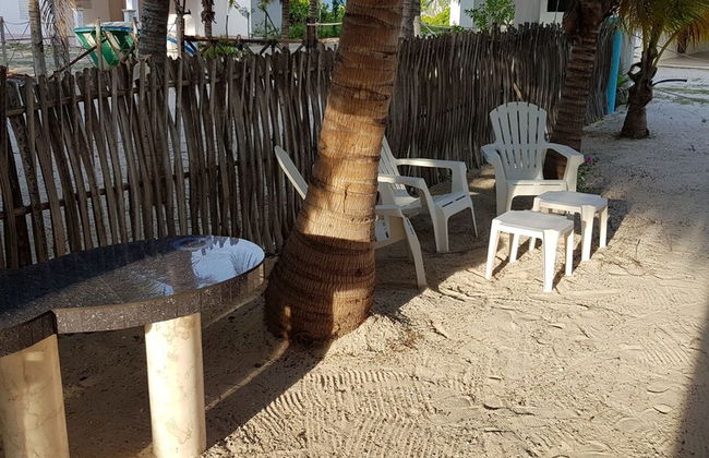 Casa de los peces - Foto 22