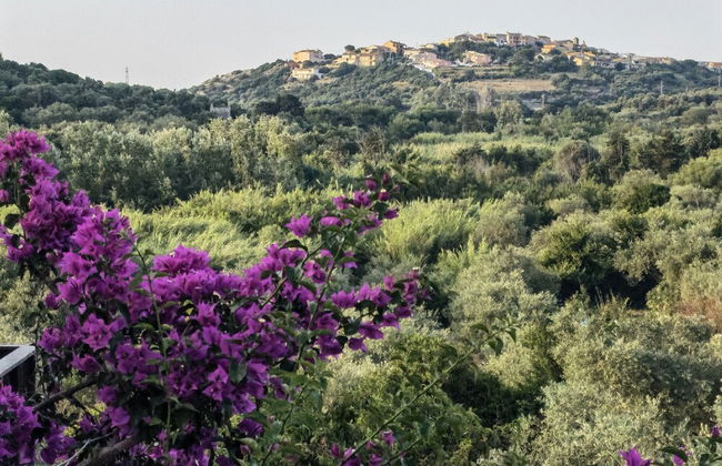 la corte degli ulivi - Foto 75