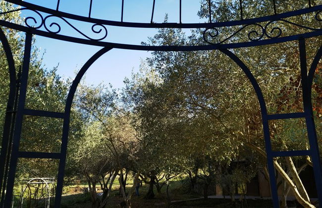 la corte degli ulivi - Foto 74