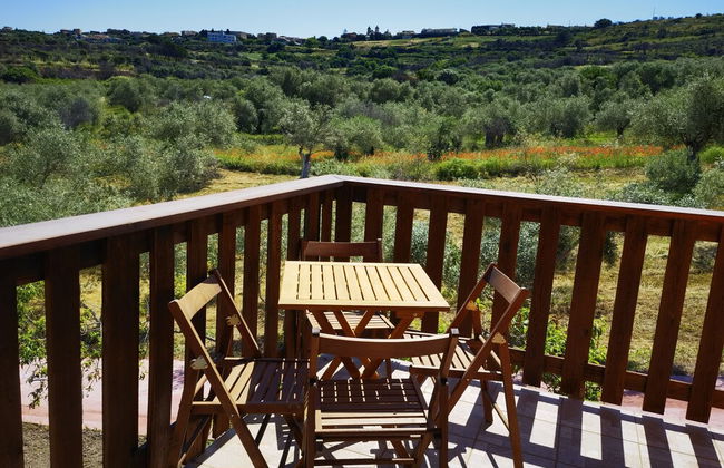 la corte degli ulivi - Foto 41