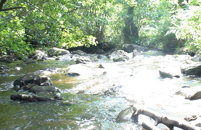 Country Retreats at Butterstone - Foto 10
