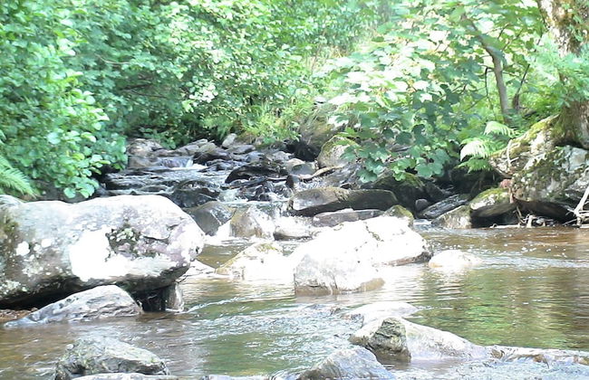 Country Retreats at Butterstone - Foto 11