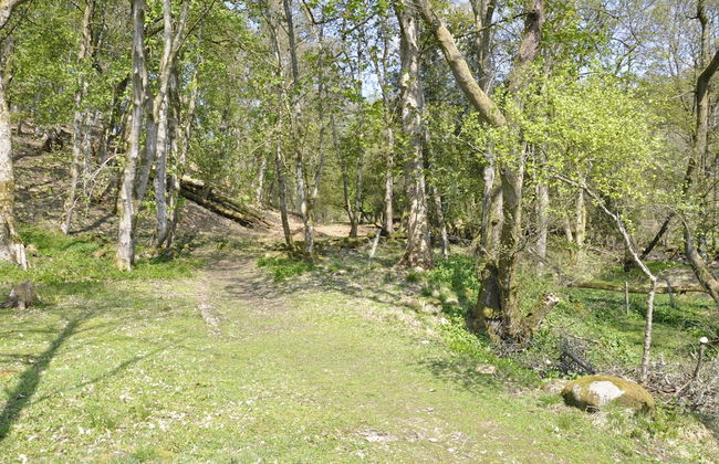 Country Retreats at Butterstone - Foto 14