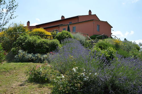 Photo 52 - Podere Benintendi