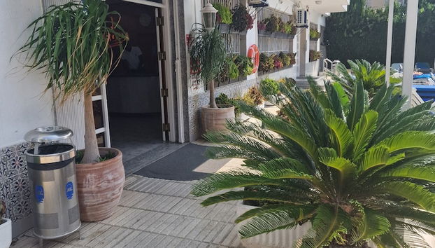 Receção