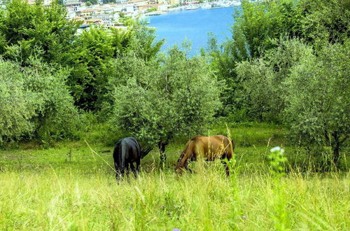 Photo 12 - Belvilla by OYO Bilo Della Cascina