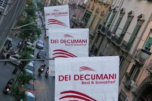 Photo 48 - Dei Decumani