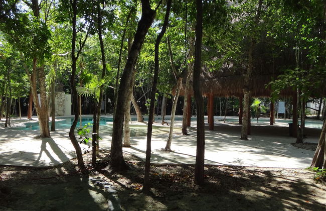 Tropical Paradise Apartment - Foto 26