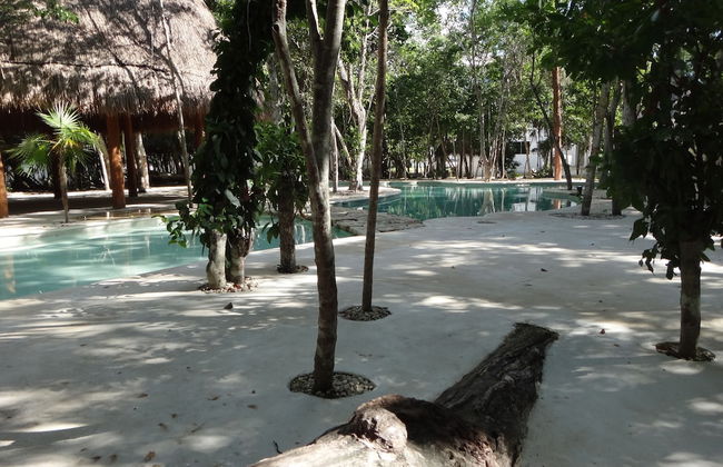 Tropical Paradise Apartment - Foto 21