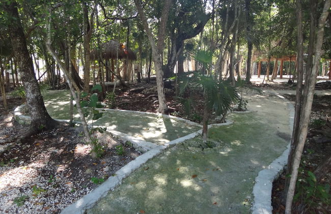 Tropical Paradise Apartment - Foto 25