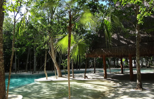 Tropical Paradise Apartment - Foto 20