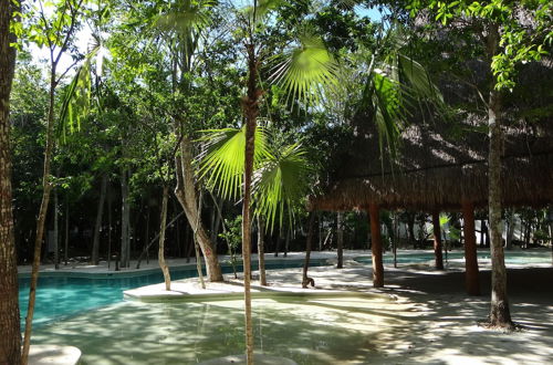 Photo 20 - Tropical Paradise Apartment