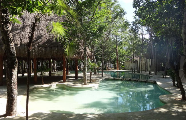 Tropical Paradise Apartment - Foto 19