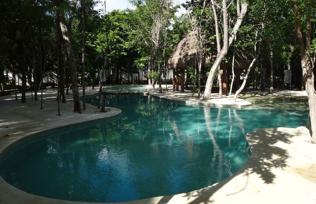 Tropical Paradise Apartment - Foto 22