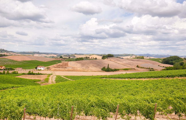 Spacious Tuscany Retreat - Foto 35