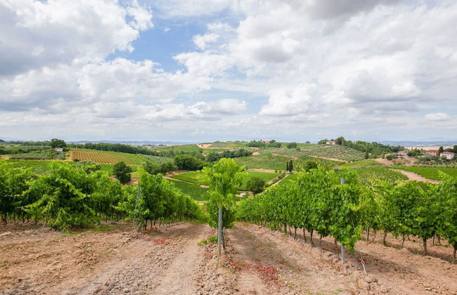Spacious Tuscany Retreat - Foto 39