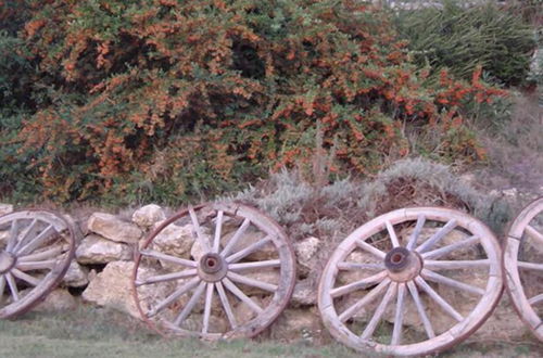 Photo 36 - La Vecchia Fattoria