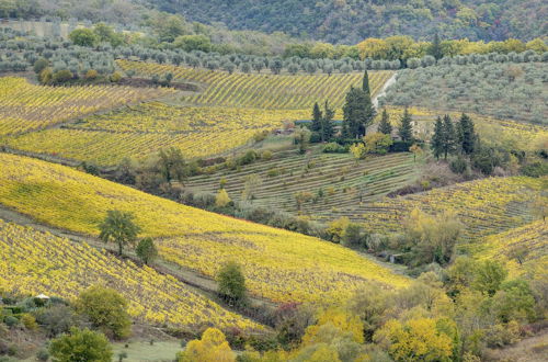 Foto 47 - Terre di Baccio