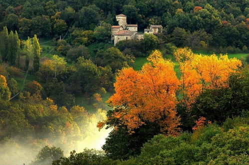 Photo 36 - Borgo Fontanini