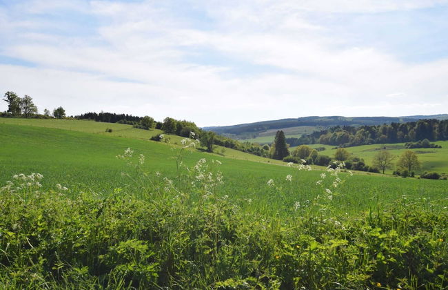 Heritage Holiday Home in Roumont - Foto 37