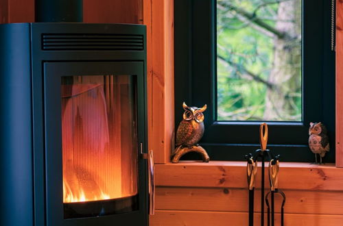 Photo 6 - Owl Lodge With Hot Tub and Massage Treatments