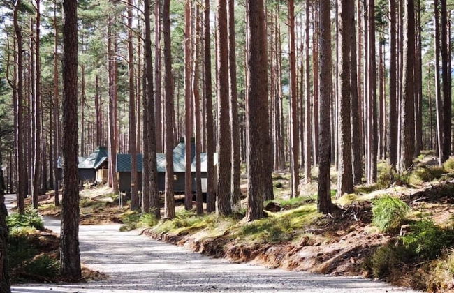 Cairngorm Bothies - Foto 24