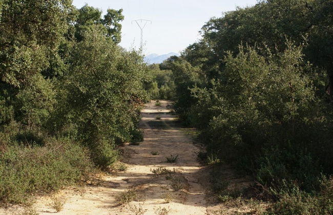 Casa Rural Elanio Azul - Foto 21