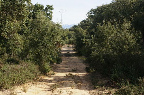 Photo 21 - Casa Rural Elanio Azul