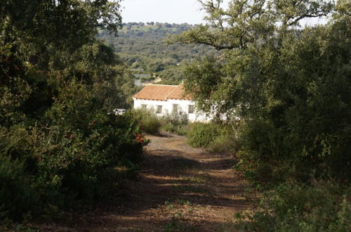 Photo 23 - Casa Rural Elanio Azul