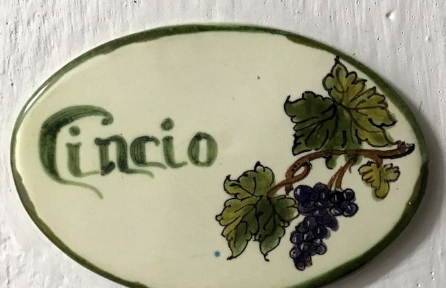 Il Pezzatino - Foto 15