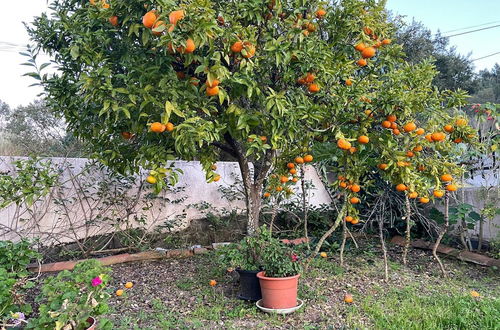 Foto 54 - VISITAR BIOUCAS I - Casa Inteira Familiar e Grupo de Amigos