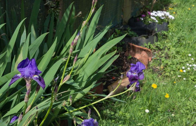 Los Candiles - Foto 33