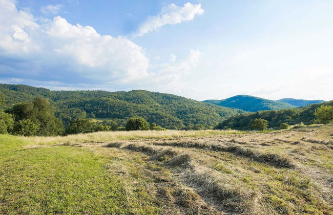 Farmhouse in Tuscany Near Anghiari - Foto 39