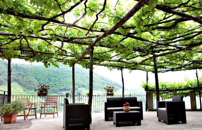 Agriturismo Il Raduno - Foto 49
