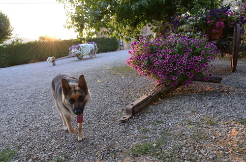 Foto 67 - Casa di Campagna in Toscana