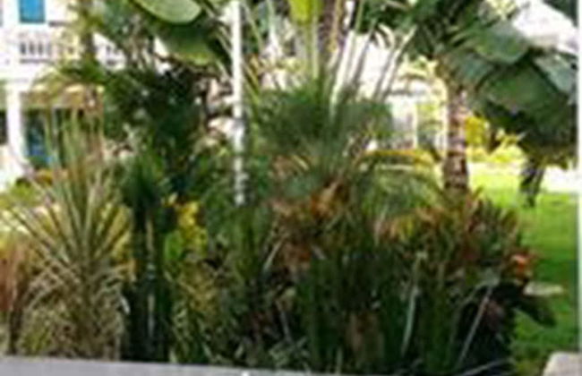 Beachfront Apartment facing Playa Popy - Foto 19