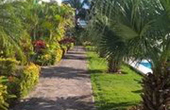 Beachfront Apartment facing Playa Popy - Foto 16