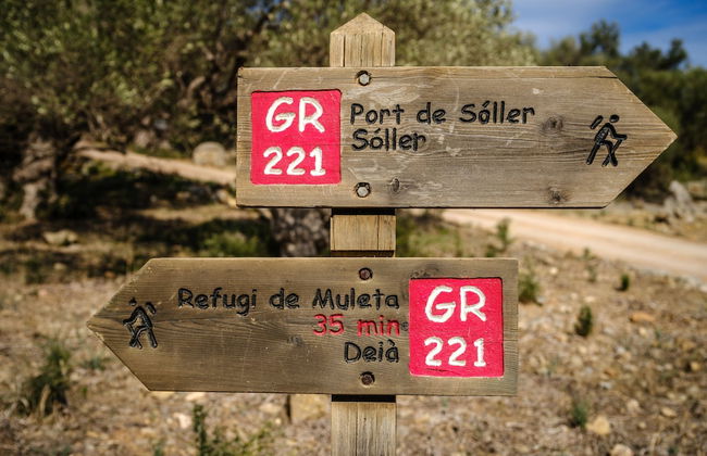 Muleta de Ca S'Hereu Agroturismo - Foto 45