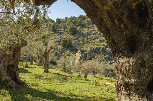 Photo 50 - Muleta de Ca S'Hereu Agroturismo