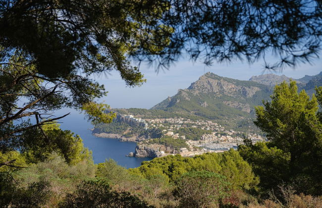 Muleta de Ca S'Hereu Agroturismo - Foto 46