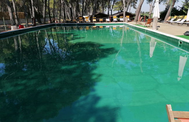 Camping Green Village Pin Tourist - Foto 6