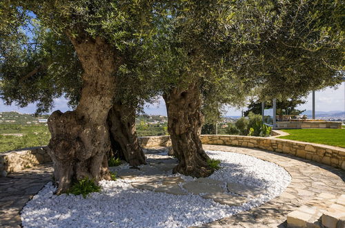 Photo 51 - OliveNest Chania