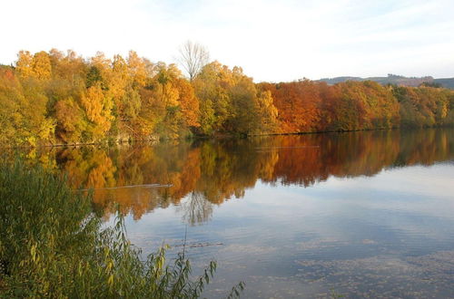 Photo 11 - Holiday Home in Mielinghausen Near the ski Area