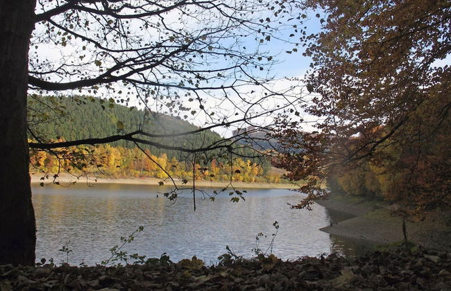 Holiday Home in Mielinghausen Near ski Area - Foto 34