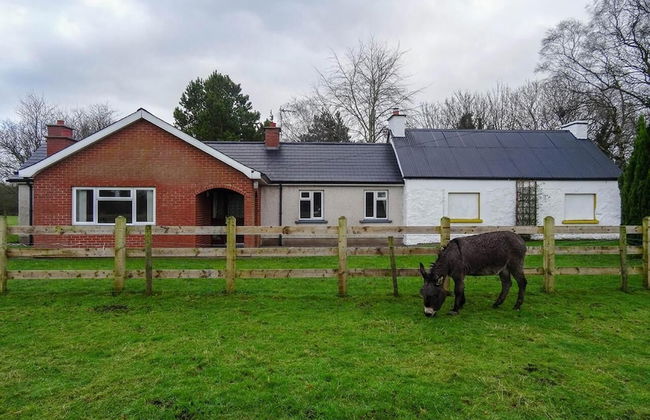 Lough Shore Cottage - Foto 10