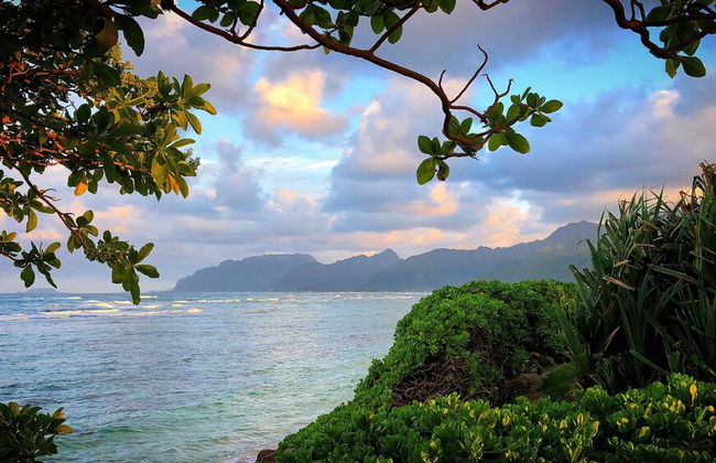 Tiki Moon Villas - Foto 64