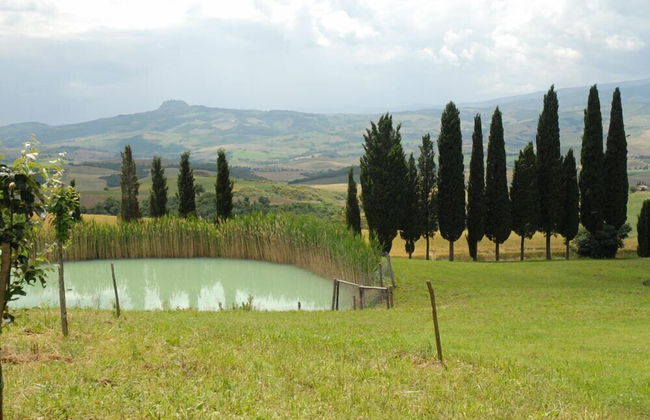 Verdidea - Vallocchie - Foto 30