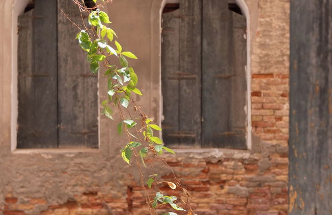 Palazzetto Pisani - Foto 51