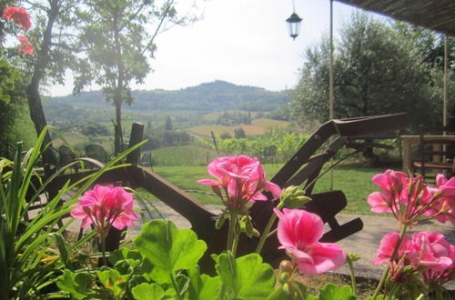 Foto 40 - Agriturismo le Spighe - Fattoria Bertaccini