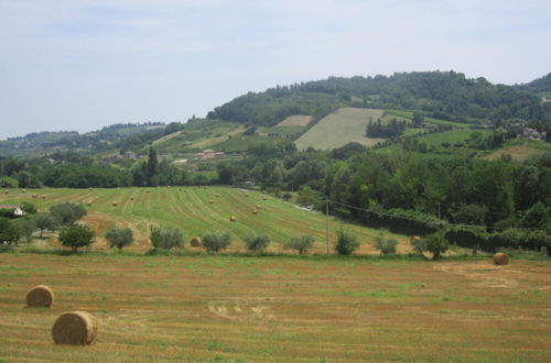 Photo 32 - Agriturismo le Spighe - Fattoria Bertaccini